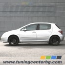 СПОРТНИ ПРУЖИНИ ЗА PEUGEOT 307